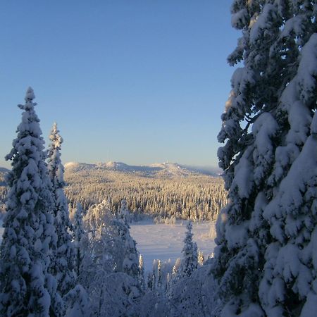 Rukajärven Kelopirtit Cottages Exteriör bild
