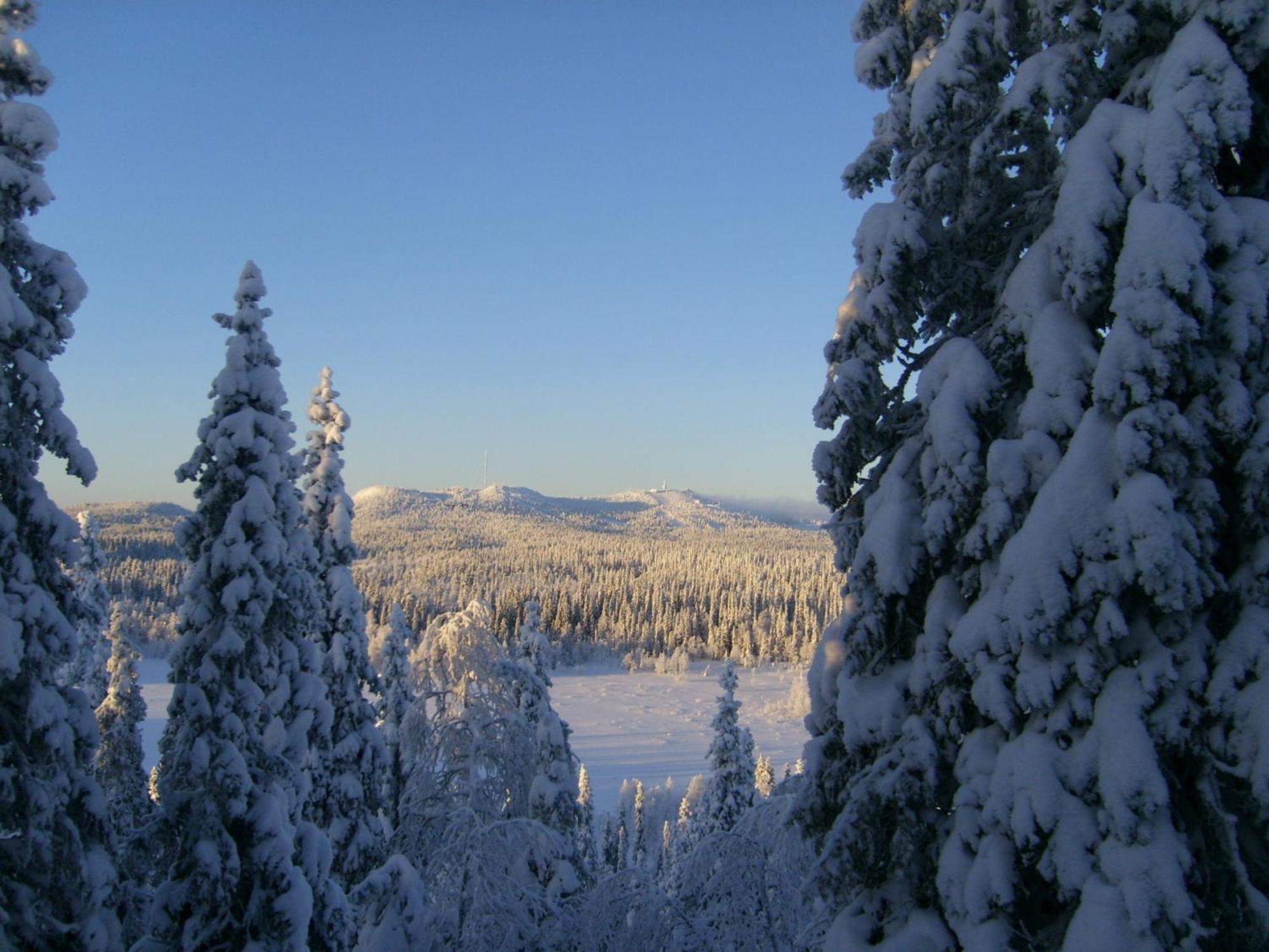 Rukajärven Kelopirtit Cottages Exteriör bild